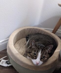 K&H Pet Products Thermo-Kitty Heated Cat Bed Small 16 Inches Sage/Tan 16.0"L x 16.0"W x 6.0"Th Retail Package 40 714uG0YC2VL