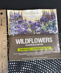 Seed Needs, Large 2.1 Ounce Package of 30,000+ Dazzling Blue Wildflower Seeds for Planting (99% Pure Live Seed Butterfly Attracting Wildflower Mixture - NO Filler) - Bulk 58 714vCLzTm4L