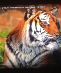 Epson Home Cinema 2045 1080p 3D Miracast 3LCD Home Theater Projector 49 714vy5iUtiL