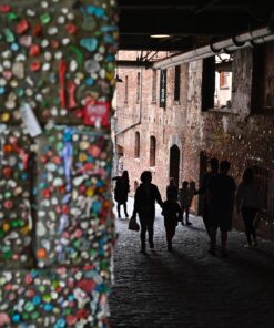 Meike 50mm F1.7 Full Frame Manual Focus Prime Lens Compatible with Z Mount Cameras Z5 Z6 Z7 Z30 Z50 49 714yPaGTGYL