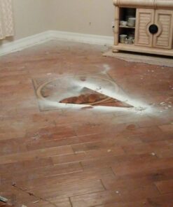 Ewbank EP170 All-In-One Floor Cleaner, Scrubber and Polisher, Red Finish, 23-Foot Power Cord 37 714zKx PI4L