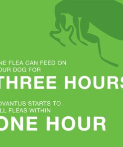 Advantus (Imidacloprid) Chewable Flea Treatment for Small Dogs, 7 Count, 4-22 Pounds 14 714zLDvAewL