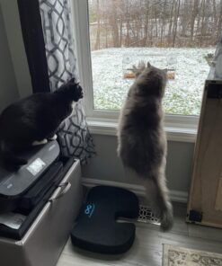 Window Bird Feeder with Strong Suction Cups, Clear Window Bird Feeders for Outside - Transparent Bird House, Balcony Glass Mount, Acrylic Cat, Kids & Elderly Viewing Clear Bird Feeder for Window Perch Large Ranch 50 714zLdXzC8L