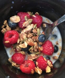 Diabetic Kitchen Cinnamon Pecan Granola Cereal - Low Carb Snacks w/Prebiotics & No Added Sugar - No Erythritol, 3 Net Carbs & Gluten-Free 24 715 4iW5LpL 1