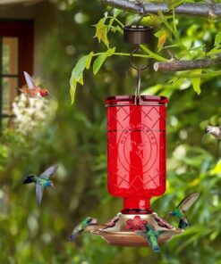 BOLITE Hummingbird Feeder, 18005 Glass Hummingbird Feeders for Outdoors Hanging, 5 Feeding Stations, 22 Ounces, Red Bottle, Xmas Gifts for Bird Lovers Red Elixir Bottle 28 7152Wr74bL