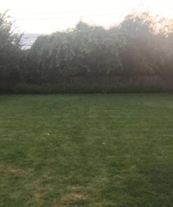 Wondercide - EcoTreat Ready-to-Use Outdoor Pest Control Spray with Natural Essential Oils - Mosquito, Ant, Insect Repellent, Treatment, and Killer - Plant-Based - Safe for Pets , Kids - 32 oz 27 7154HO3mwL