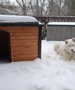 PRECISION PET PRODUCTS Extreme Outback Log Cabin Dog House, Large, Natural Wood (7027013) Walnut/Dark Brown Extreme Outdoor Log Cabin 30 7154W7TGuL