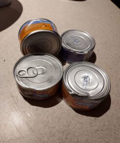 Purina Friskies Gravy Wet Cat Food Variety Pack, Shreds - (24) 5.5 oz. Cans Chicken, Turkey, Beef, Cheese 5.5 Ounce (Pack of 24) 26 7158zQL6mFL