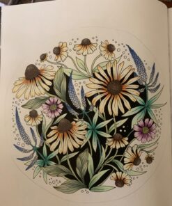 Nightfall Coloring Book: Originally Published in Sweden as "Skymningstimman" 36 7159sJP9l8L