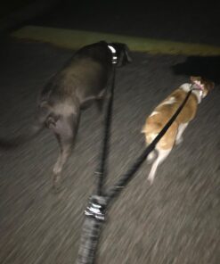 Dual Dog Leash - Double Dog Leash for Two Dogs - Tangle Free - Heavy Duty Double Ended Tandem Leash with Padded Handle for Small Medium or Large Dogs Black 38 715CUikXXVL