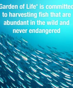 Garden of Life Oceans Mom Prenatal Fish Oil DHA, Omega 3 Fish Oil Supplement - Strawberry, 350mg Prenatal DHA Pregnancy Fish Oil Support for Mamas, Babys Brain & Eye Development, 30 Small Softgels 26 715DMCjIvXL