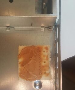 Victor M310S Tin Cat Multi-Catch Live Mouse Trap - Indoor and Outdoor Humane Catch and Release 1 Trap 33 715EES9jcHL