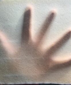 NUCO DUO Certified Organic, SHELF STABLE, All Natural, Paleo, Gluten Free, Vegan Non-GMO, Kosher Raw Veggie NUCO Coconut Wraps. NO Salt Added Low Carb and Yeast Free 10 Count Various Quantities Original 2.47 Ounce (Pack of 2) 45 715ETbuwfSL