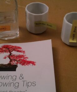 Plant Theatre Bonsai Tree Kit - Indoor Plant Growing Kit w/ 3 Mini Bonsai Seed Packs, 6 Pots, 6 Peat Discs and 6 Propagator Bags - Gardening Gifts for Men, Women and Room Decor - Crafts for Adults 46 715FIs3MXeL