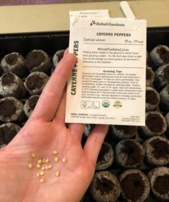 Hot Pepper Seeds - Organic Heirloom Chili Seed Variety Pack for Planting - Cayenne, Jalapeno, Habanero, Poblano, and More 41 715FnkulRkL