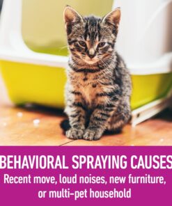 Comfort Zone with Feliway Diffuser Kit for Cat Calming, 1 Diffuser and 1 Refill 16 715ImhAKuuL