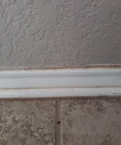 Mr Clean Magic Eraser Pads, 8 Count (Pack of 1) 45 715MORWJFGL