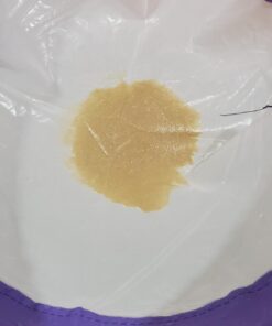 iPower GLBBAG5X5 5-Gallon 5 Herbal Ice Bubble Hash Bag Essene Extractor Kit, 5-Pack 17 715PVvnH2nL