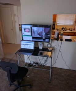 Mount-It! Single Monitor Arm Mount | Desk Stand | Heavy Duty Full Motion Height Adjustable | Fits 19 21 24 27 29 30 in VESA 75 100 Compatible Computer Screen | C-Clamp Base | Holds up to 33 Lbs 46 715PdS1CDPL