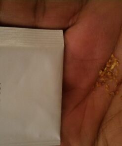 Plant Theatre Bonsai Tree Kit - Indoor Plant Growing Kit w/ 3 Mini Bonsai Seed Packs, 6 Pots, 6 Peat Discs and 6 Propagator Bags - Gardening Gifts for Men, Women and Room Decor - Crafts for Adults 47 715QA2R2mL