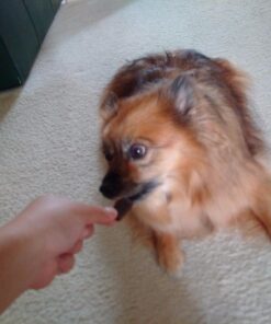 Zuke's Hip Action Hip & Joint Natural Dog Treats Crafted in the USA, 16 Ounce (Pack of 1) Peanut Butter & Oats 1.00 Pound (Pack of 1) 32 715RLf36VJL