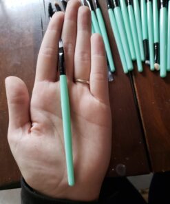 KOLIGHT® 20 Pcs Pro Makeup Set Powder Foundation Eyeshadow Eyeliner Lip Cosmetic Brushes (Black+Green) Black+Green 26 715RdpmsWoL