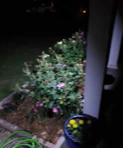 URPOWER Solar Lights Outdoor, 40 LED Motion Sensor Security Lights Solar Flood Lights Waterproof Solar Powered Outdoor Lights for Backyard, Fence, Deck, Patio, Garage (4 Pack) Medium 53 715RqQ4Jy L