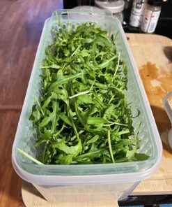 OXO Good Grips GreenSaver Produce Keeper - Large,White 53 715T2ghsXVL