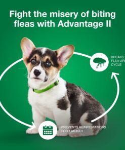 Advantage II Small Dog Vet-Recommended Flea Treatment & Prevention | Dogs 3-10 lbs. | 6-Month Supply 18 715Ul8ZjlPL