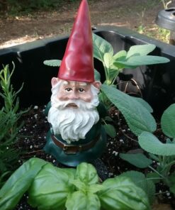 Garden Gnomes Outdoor and Indoor Statue 10'' Weather-Resistant Lawn Gnome With Red Hat and Adorable beard, Adds Whimsical Charm to Your Garden Gnomes Decorations for Yard. 10 in 31 715VN1xRQL
