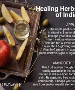 Soulflower Mangosteen Handmade Bar Soap Enriched with Apple & Premium Essential Oils for Skin Exfoliation - Natural, Vegan, Organic, Paraben & SLS Free, Pack of 2-5.3 Oz Each 15 715WBZTfomL