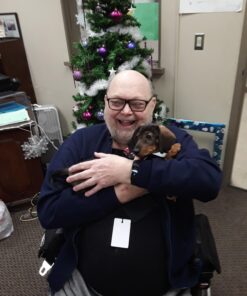 Leashboss Short Dog Leash for Dog Training | Padded Traffic Handle Short Leash for Dog Training, Total Comfort when Dog Walking | Traffic Leash for Dogs Large, Medium, Small | Short Nylon Dog Lead 12 Inch Black 46 715Zw99yWpL