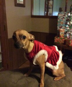 GREENIES Weight Management TEENIE Natural Dog Dental Care Chews Weight Control Dog Treats, 27 oz. Pack (96 Treats) 50 715Zy7cFyzL