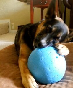 Jolly Pets Bounce-n-Play Dog Toy Ball, 8 Inches/Large, Blueberry, (Model: 2508 BB) Large (8 in) 43 715bd5MCZ8L