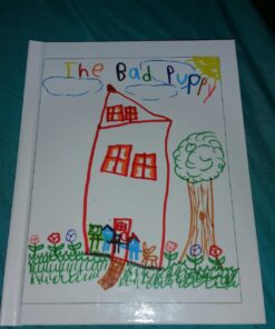 Lulu Jr. Illustory - Craft Kit 23 715dl0AK3gL