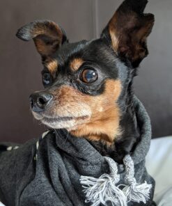 Ocu-GLO Vision Supplement for Small Dogs (45ct) 45 Gelcaps Small Dogs (10 lbs and Under) 16 715gK93jnkL