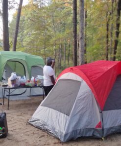 Potek 500w power inverter DC 12V to AC 110V Car Adapter with 2 5V/2A usb charging output 51 715h65vLicL