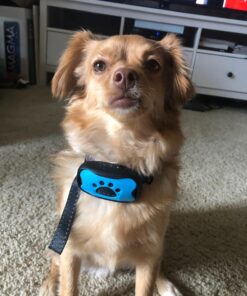 Dog Bark Collar - Stop Dogs Barking Fast! Safe Anti Barking Devices Training Control Collars, Small, Medium and Large pet deterrent. No shock, remote or citronella. Sound, vibration training device 29 715i6ThwviL