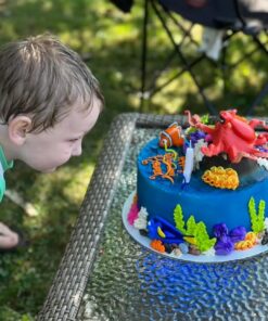 SwimWays Disney Finding Dory Dive Characters Diving Toys (3-Pack), Bath Toys & Pool Party Supplies for Kids Ages 5 and Up 18 715jcwe7UHL