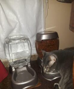 Petmate Pet Cafe Feeder Dog and Cat Feeder Pearlescent Colors 3 Sizes, Made in USA 6 lb. Pearl Tan 46 715pVKc suL