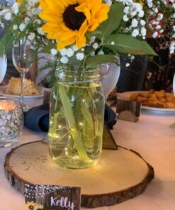 OakHaomie 6PCS 10ft(3m) LED Starry String Lights 30 Micro LEDs on Silvery Copper Wire,2pcs CR2032 Batteries Required and Included, for DIY Wedding Centerpiece Table Decorations (Warm White) Warm White 42 715q6fFa5JL