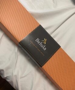 Belula Premium Dry Brushing Body Brush Set- Natural Boar Bristle Body Brush, Exfoliating Face Brush & One Pair Bath & Shower Gloves. Free Bag & How To – Great Gift For A Glowing Skin & Healthy Body 37 715sVpslrLL 3