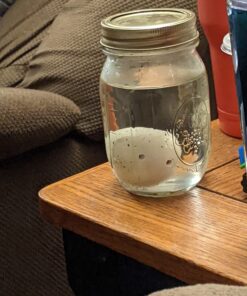 Surprise Growing Dinosaur Hatch Egg Kids Novelty Toy- Pack of 2 2 Pack 19 715udUqIwoL