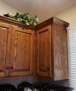 Nearly Natural 15in. Pothos Ledge Plant (Set on Foam) Silk Plant,Green 50 715ueb50RdL