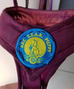 Upholstery Repair Kit with 2 Spools (1 White & 1 Black Spool) and 7 Different Sized Needles | Leather Repair Kit, Furniture, Clothes, Car, Fabric, Couch, Vinyl, Boat, Seat, Carpet, Shoe | Patch Fabric 24 715vqd1SoSL