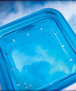 More Birds Dish SeedFeed, 1 Count (Pack of 1) 1 Count (Pack of 1) 32 7160vS dS5L