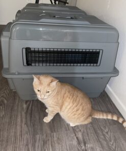 Petmate Sky Kennel, 28 Inch, IATA Compliant Dog Crate for Pets 15-30lbs, Made in USA 28 inch (Pack of 1) Kennel Only 43 7162hClsrrL