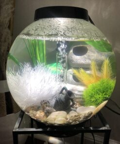 biOrb CLASSIC 15 Aquarium with LED - 4 gallon, Black 23 7163KciQc1L