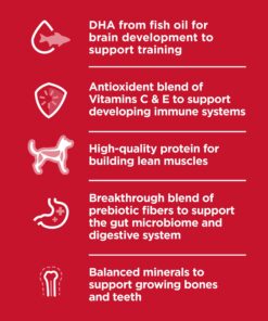 Hill's Science Diet Wet Cat Food, Kitten, Liver & Chicken Recipe, 5.5 oz. Cans, 24-Pack 19 7164ETmX1qL