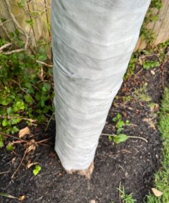 Dewitt 3-Inch by 50-Foot Tree Wrap White TW3W 26 7165iSMa tL